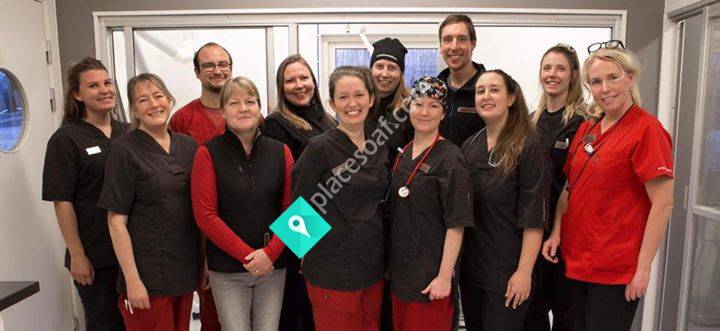 Distriktsveterinärerna Örnsköldsvik