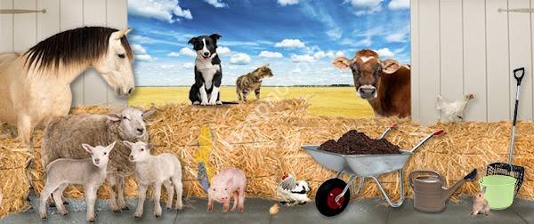 Djur & Natur Vårgårda