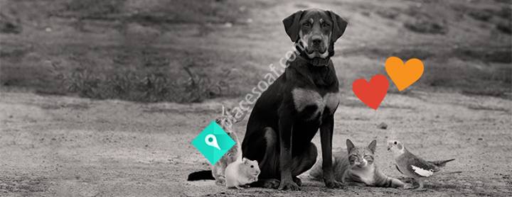 Djurmagazinet i Örnsköldsvik