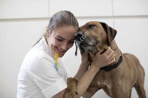 Djursjukhuset Hund & Katt