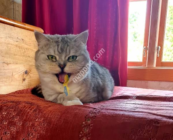 Djurvårdscentralen i Sexdrega AB