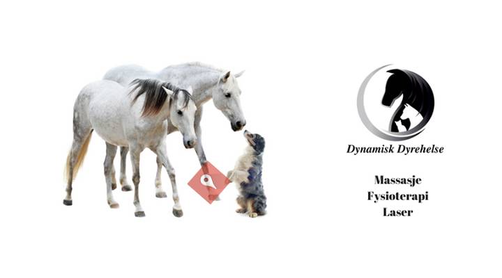Dynamisk Dyrehelse
