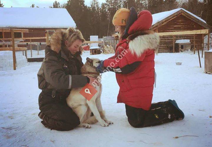 Dyrekiropraktor Andrea Nordbø