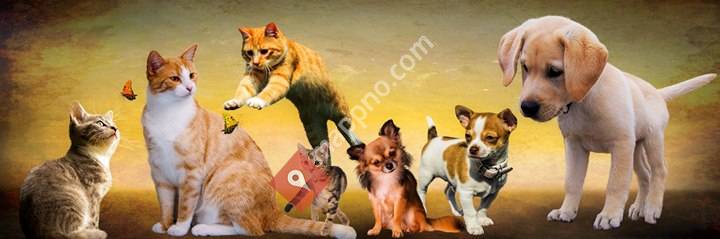 Dyreklinikken i Sogndal