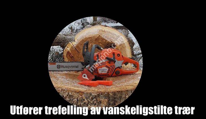 Eidskog Trefelling v/ Steinar Stangnes