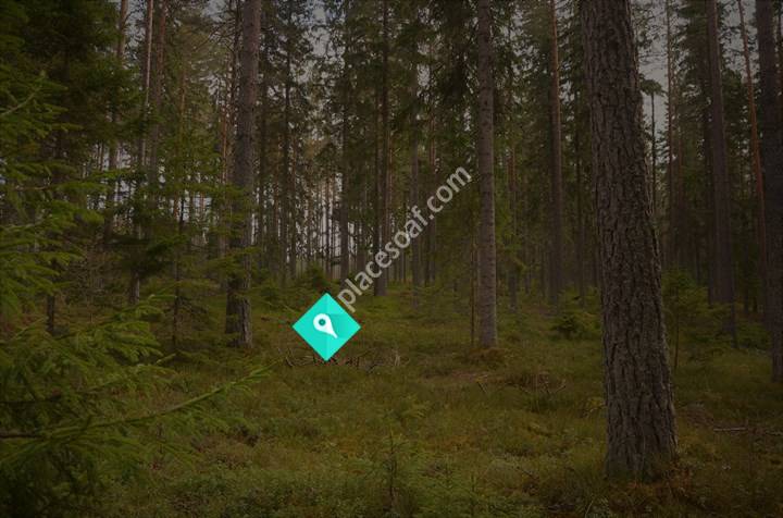 Ellen's Hunddagis & Hundpensionat