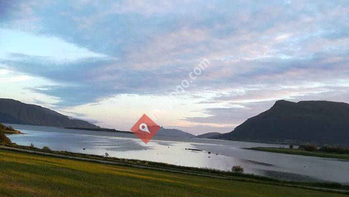 Epstein Barr Virus - For Alle Med Viruset