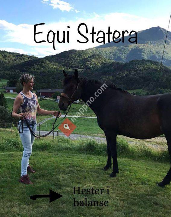 Equi Statera