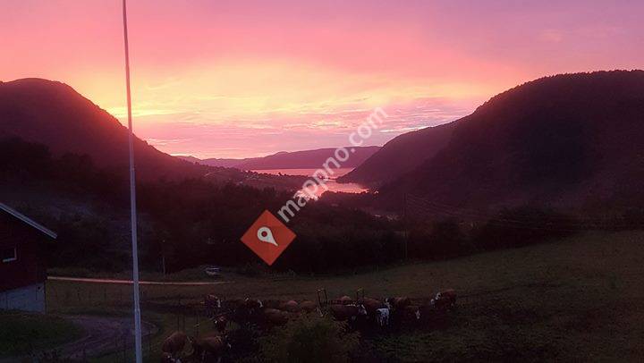 Erling Johan Strømme stereo bil og High End organisasjon nr.918372512.