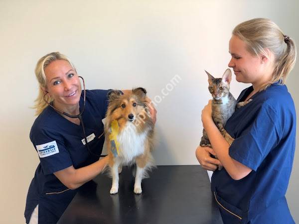 Evidensia Djursjukhuset Västerort