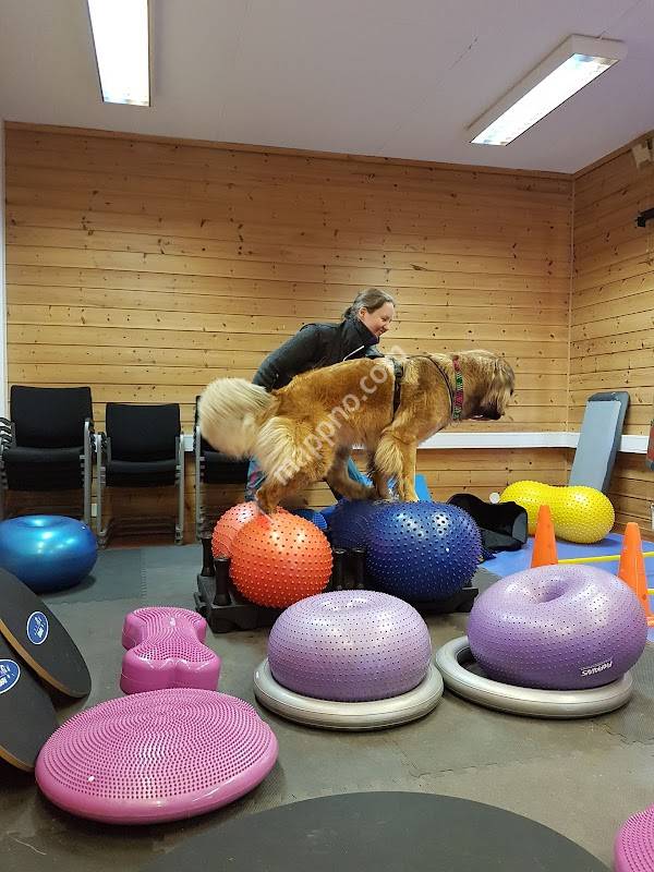 FitDogs