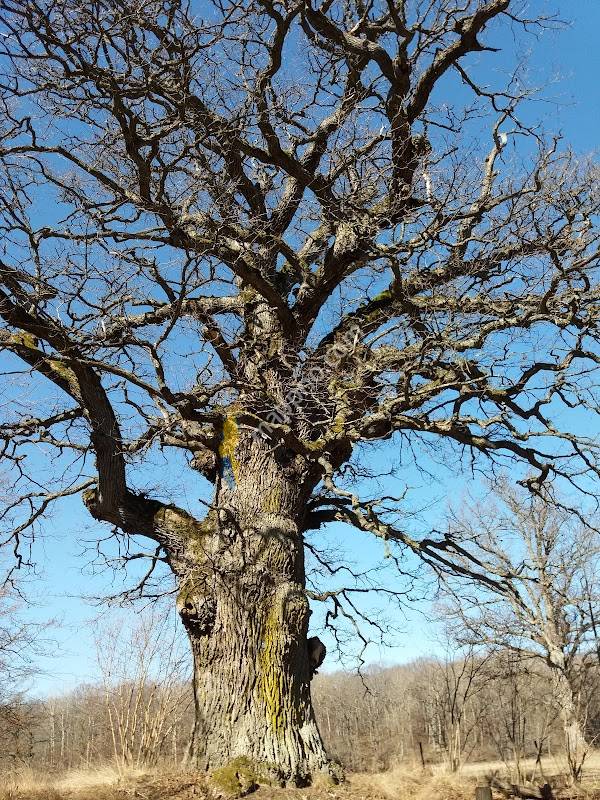 Fituna Farming Trade AB