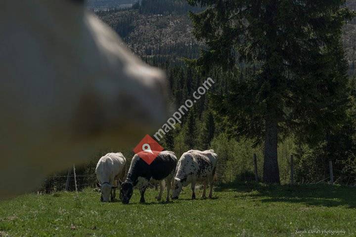 Fjellgården Finstad i Nord-Torpa