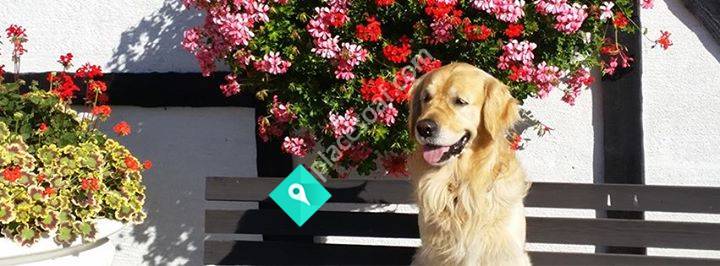 Flädergården & Pelargonhuset