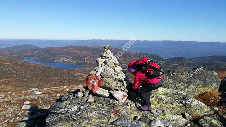 Flå - eventyret i Hallingdal