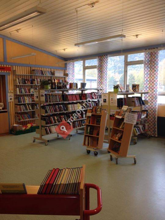 Flesberg skolebibliotek