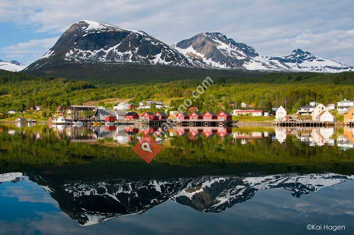 Foldvik Bryggeferie AS