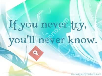 Forever Living-Linda Dahl