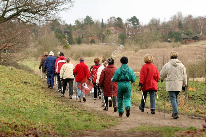Frisklivssentralen Lyngen