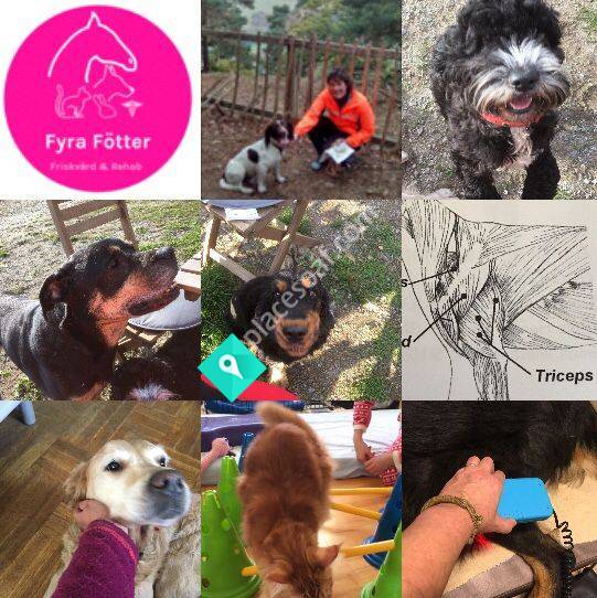 Fyra Fötter friskvard, hydroterapi, rehabilitering och fitness