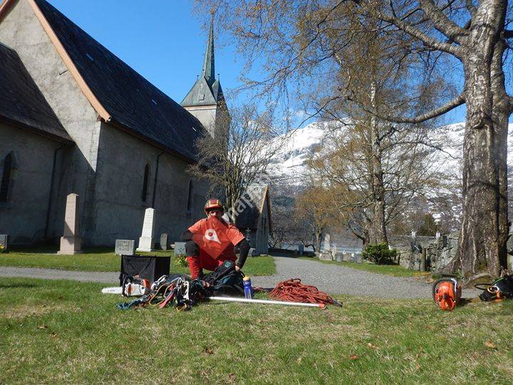 Gard og skogspleie - Martin Dolejs