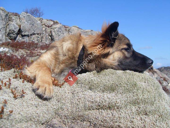 Garstad Hundesportsenter As