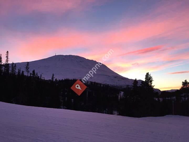 Gausta-1883-Engstrom