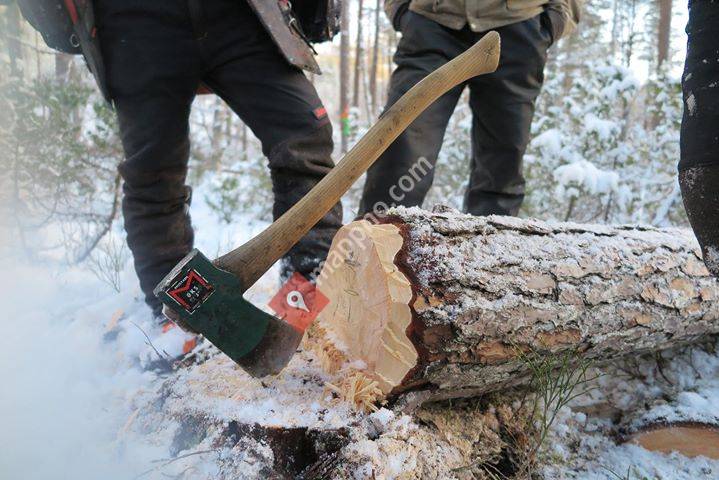 Geitbåtmuseet - Husasnotra