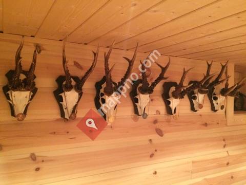 Gevirdommer Jørgen Søraker