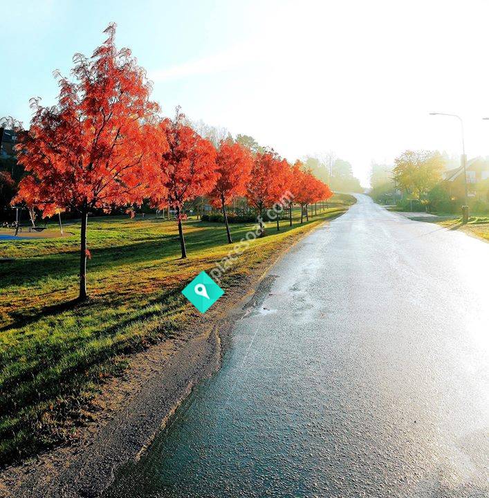 GFG - Bygdsam: Husum - Grundsunda