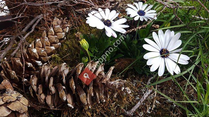 Giljastølen Galleri&Interiør