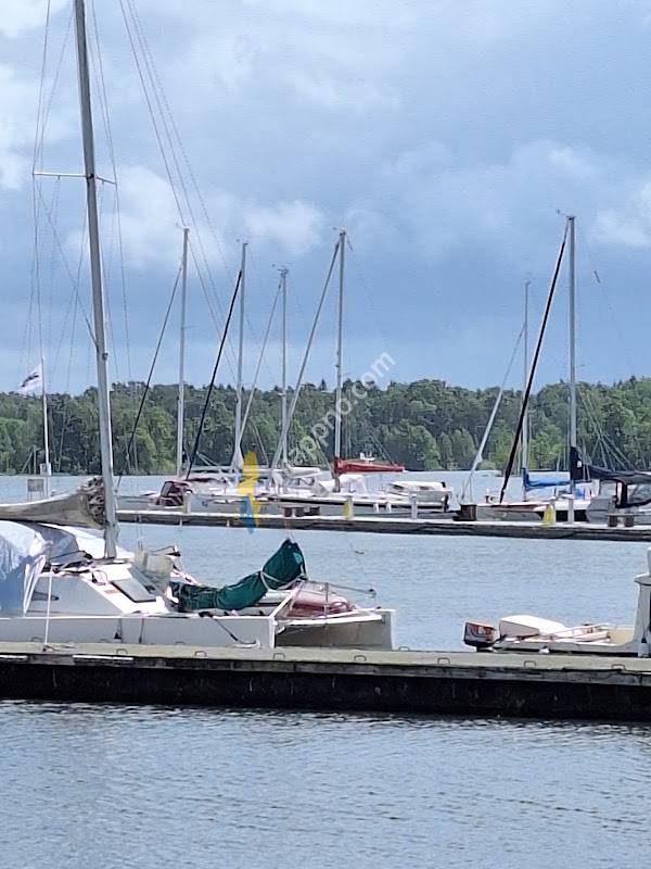 GP Petrol and diesel