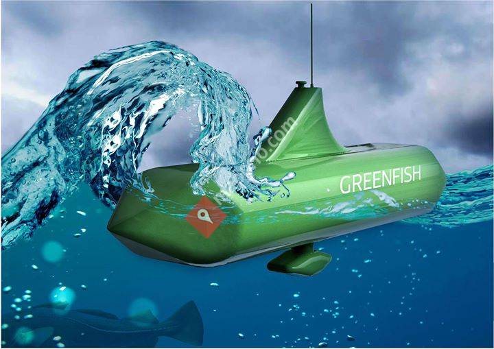 Greenfish as