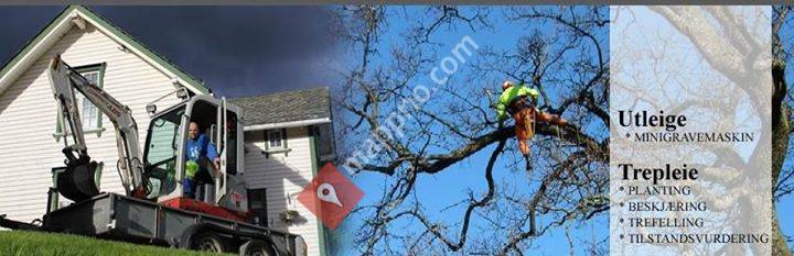 Gunnar Lillethun Trepleie og Anleggsgartnar