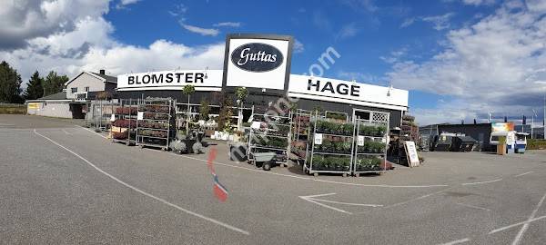 Guttas Blomster AS