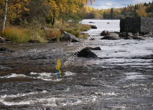 Gysingeforsarnas FVOF