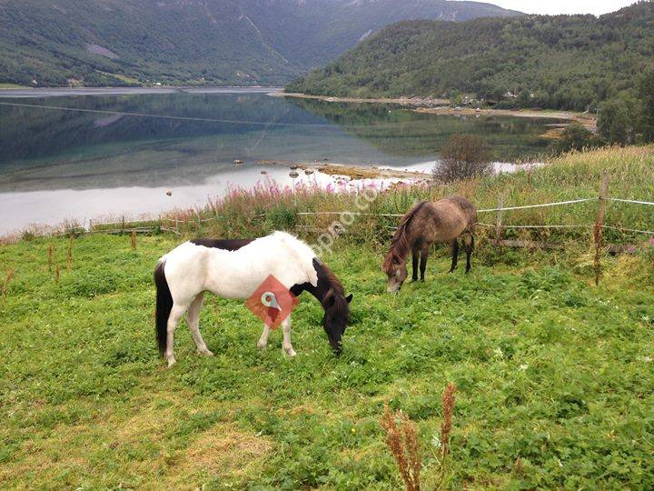 Håjen Gård og ridesenter