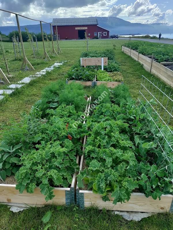 Hagen ved havet (garden by the sea)