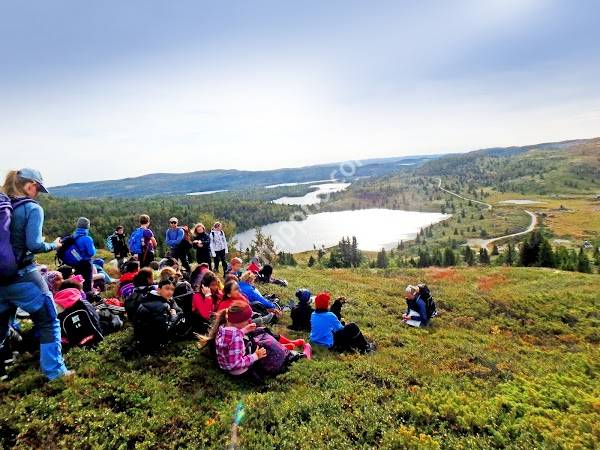Hallingdal Leirskole