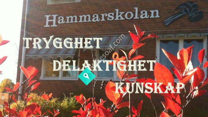 Hammarskolan Vännäs