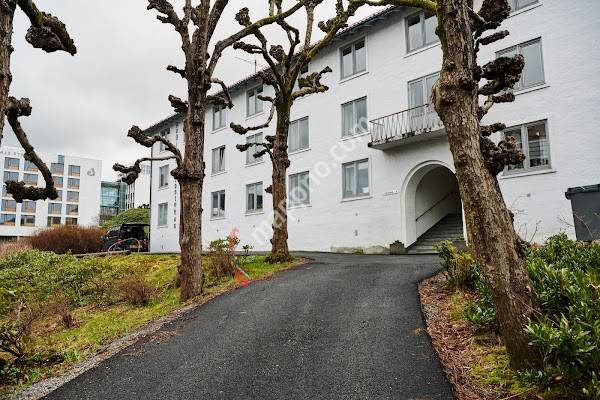 Haraldsplass Serio Ung