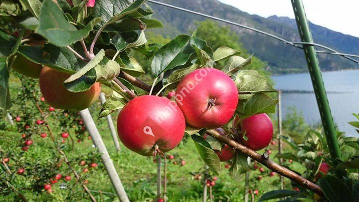 Hardanger Fjordfrukt