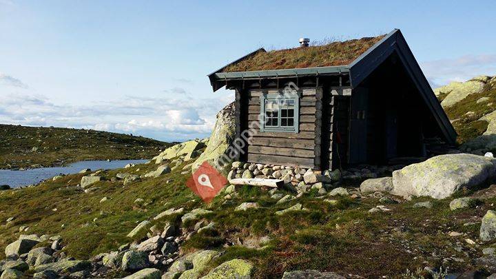 Harehopp - Vassfarfjellet