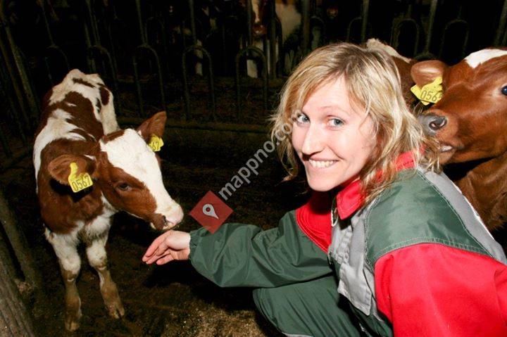 Helgeland Landbrukstjenester