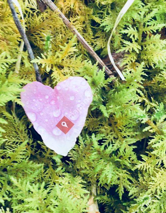 Helhetsterapeut Kristina Haugjord