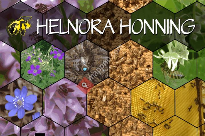 HELNORA HONNING