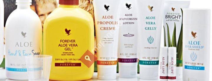 Helse og karriereveileder- Silje Ravnøy