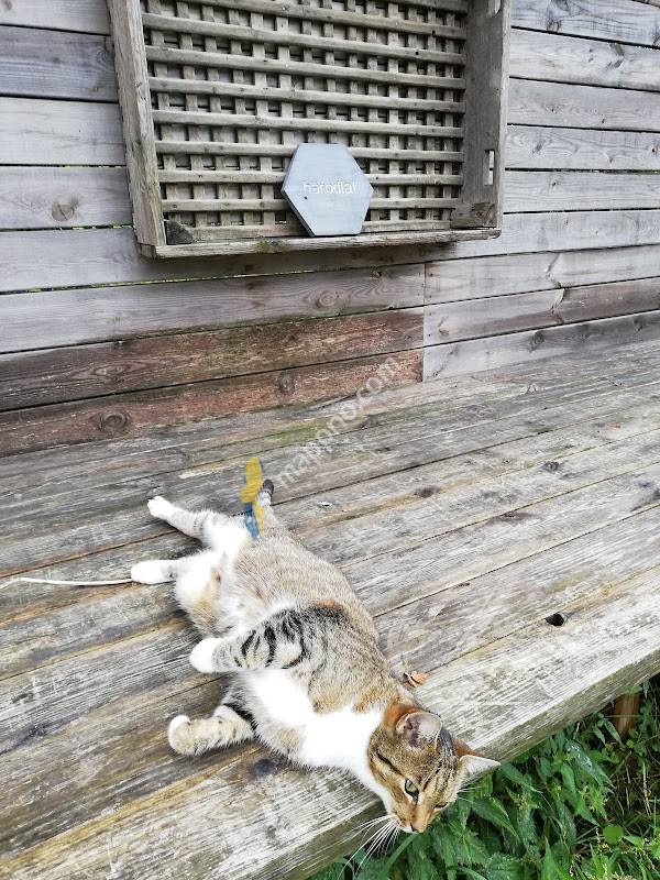 Henrikes Gårdsbutik