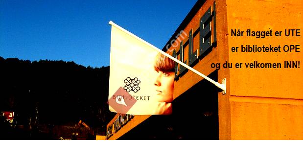 Herøy folkebibliotek