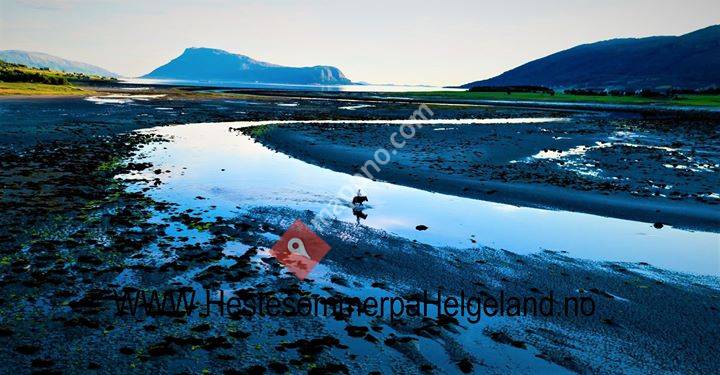Hestesommer på Helgeland